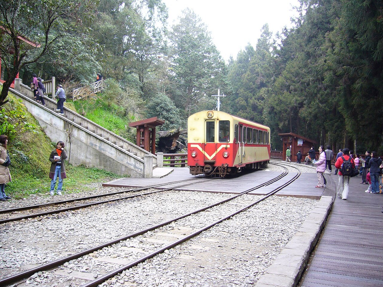 대만 아리산 삼림철도 숲길 정차 구간과 열차
