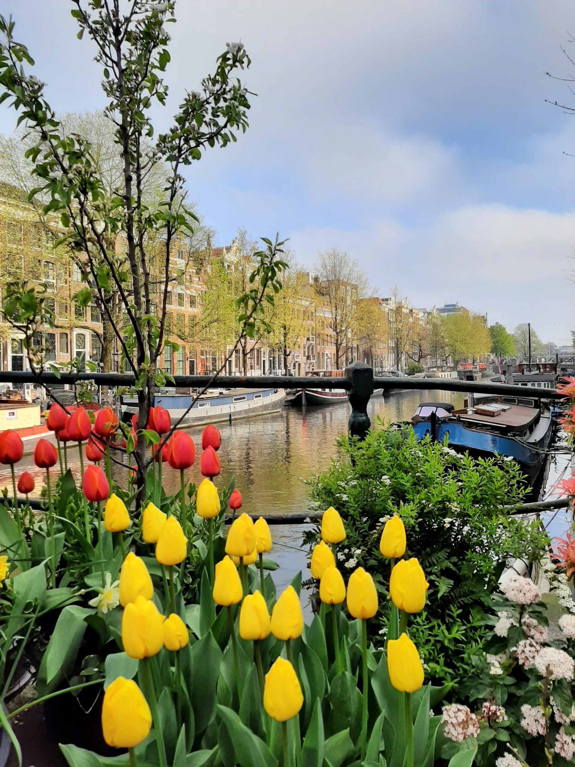 암스테르담 여행 대표 장면 이미지 1