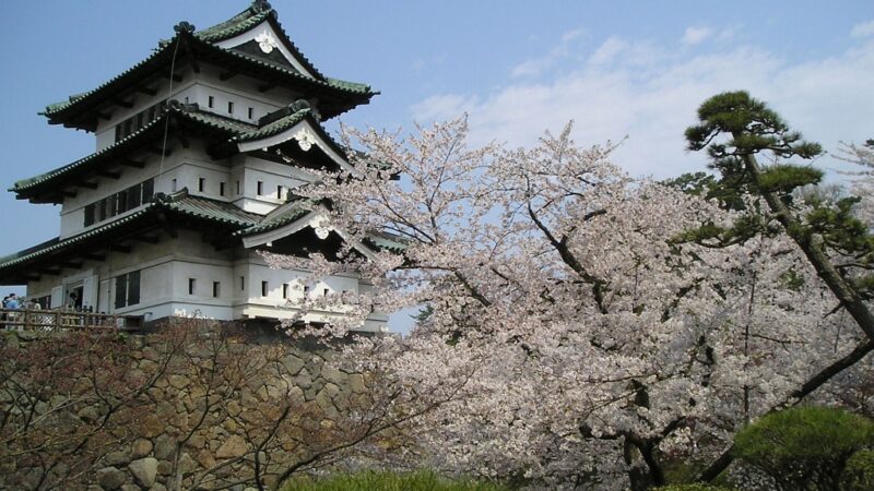 벚꽃이 핀 히로사키성 천수와 해자 풍경