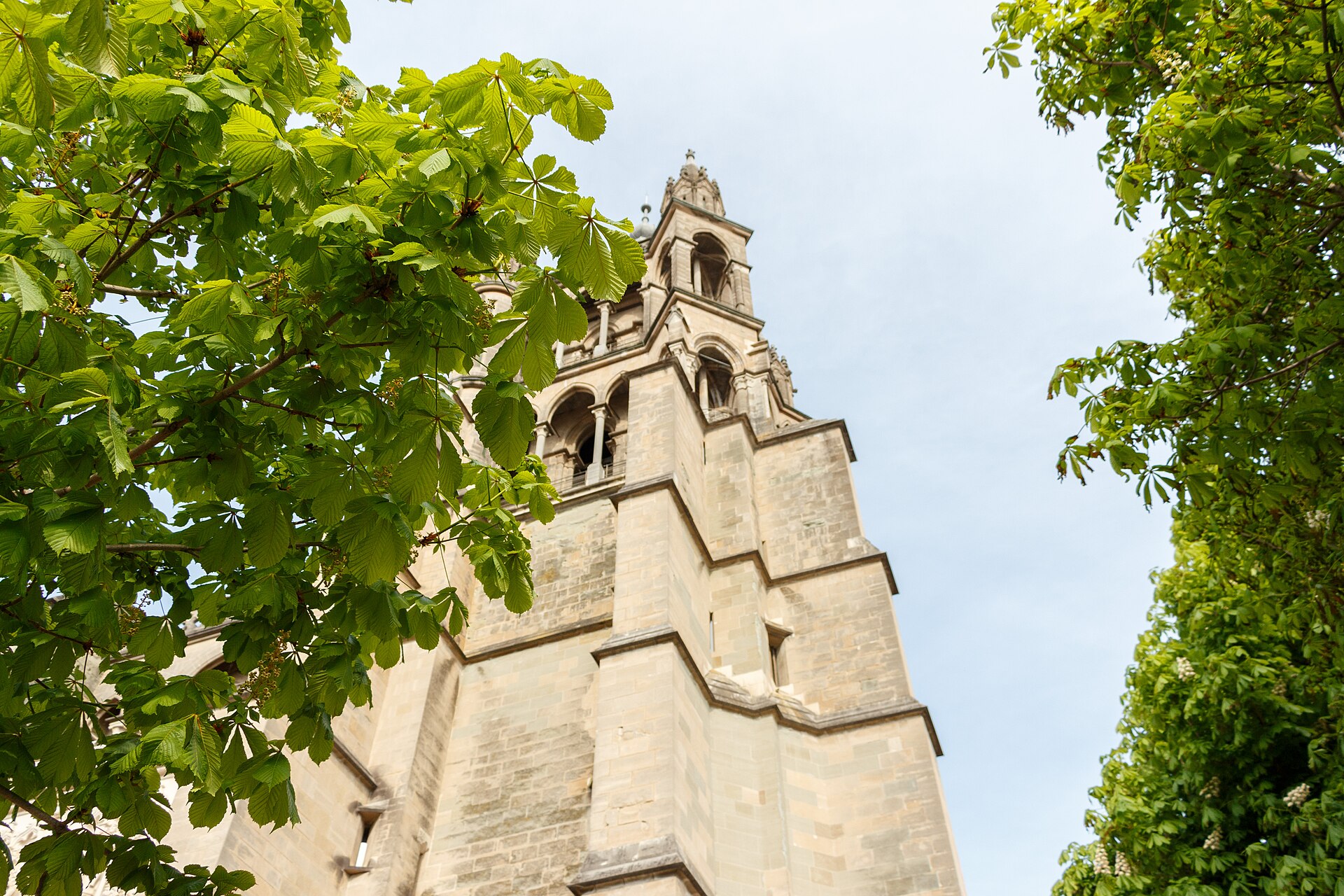 나무 사이로 보이는 로잔 대성당의 고딕 양식 탑 전경