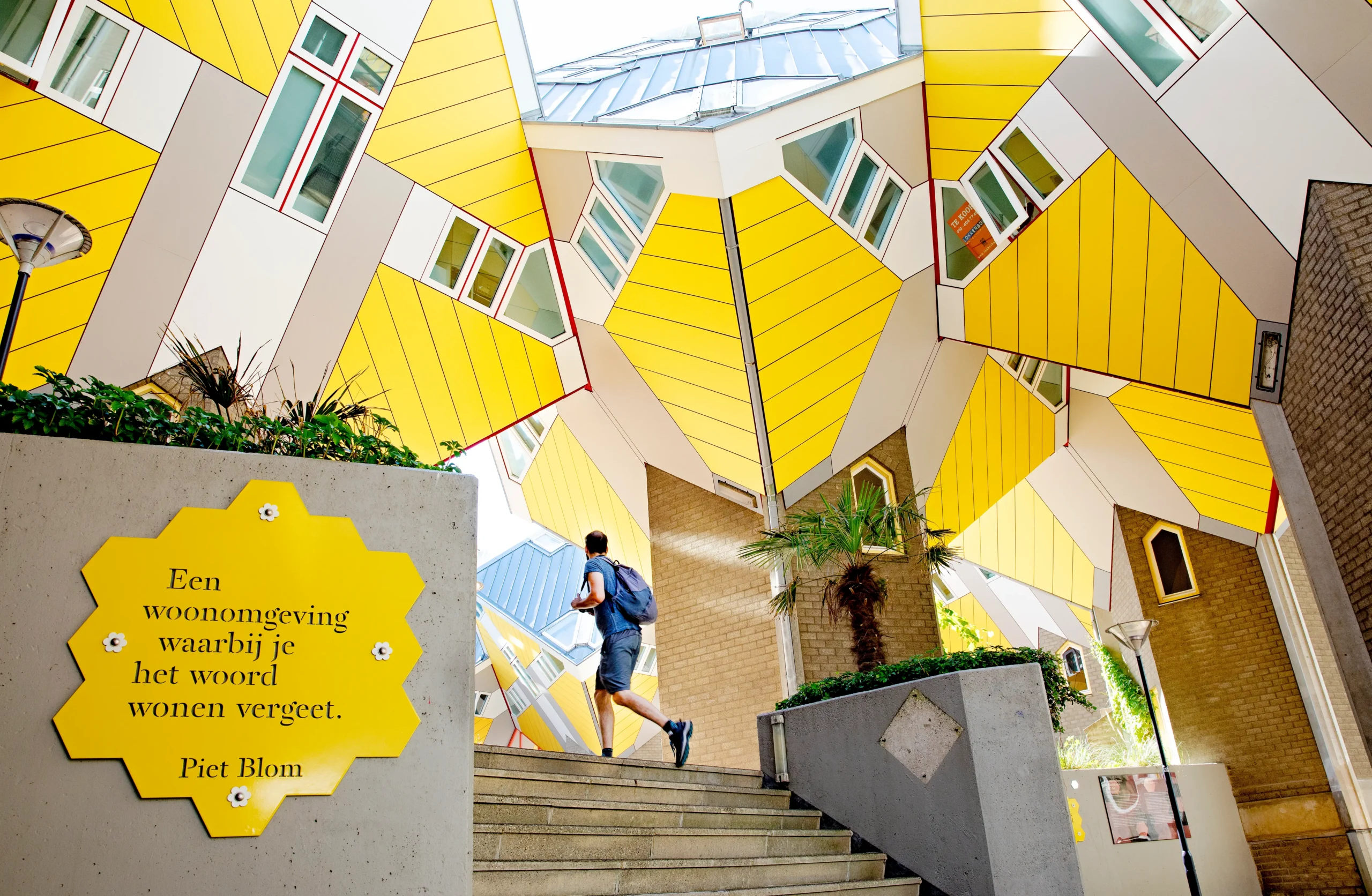 기울어진 노란 큐브 형태 주택이 모여 있는 로테르담 큐브하우스 중정