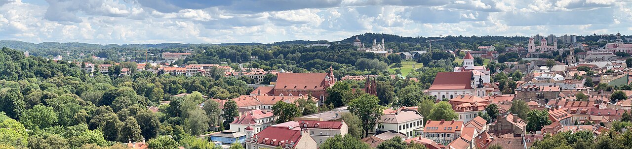 붉은 지붕과 초록 언덕이 함께 펼쳐진 빌뉴스 올드타운 파노라마