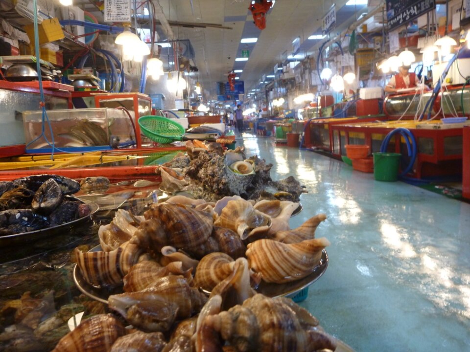 부산 자갈치시장 안쪽 수조와 조개류 판매대가 이어지는 실내 풍경