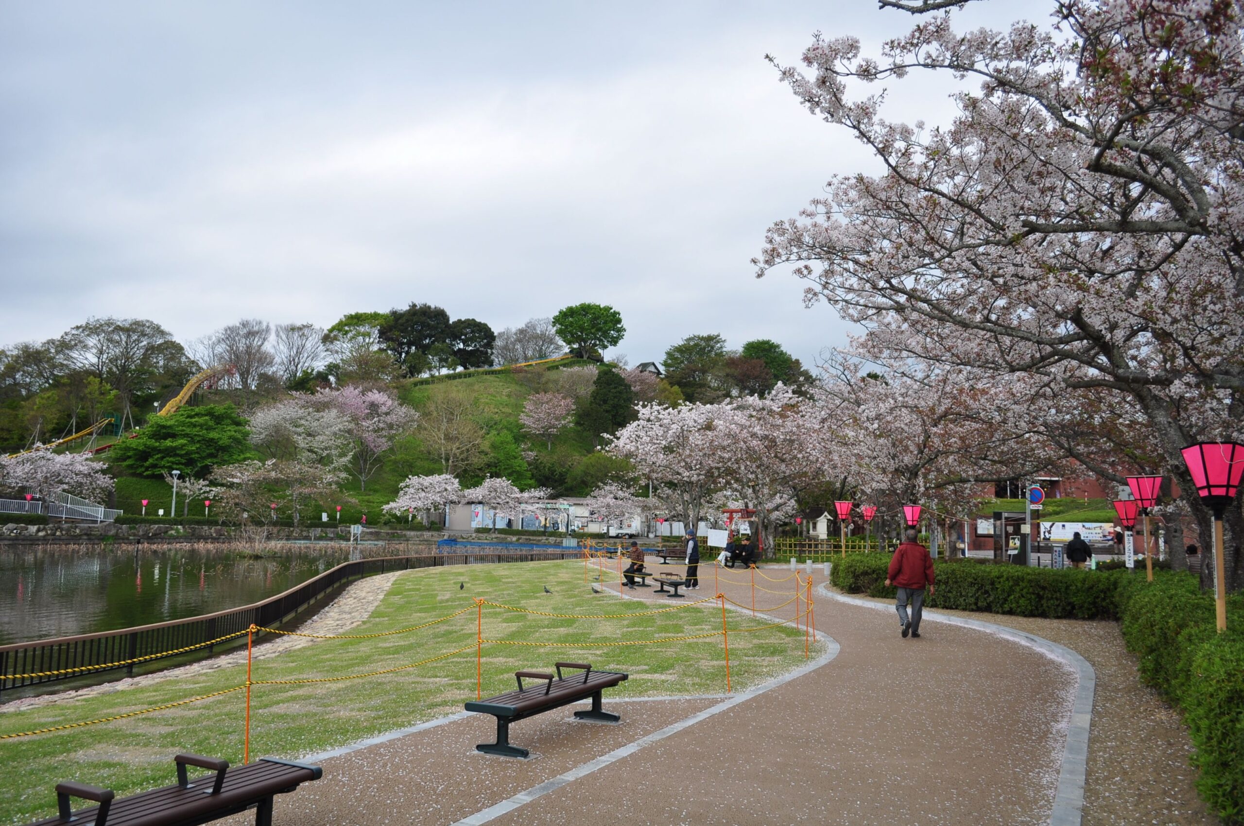 시즈오카현 후지에다 렌게지이케공원 연못 가장자리 산책길과 봄나무 풍경