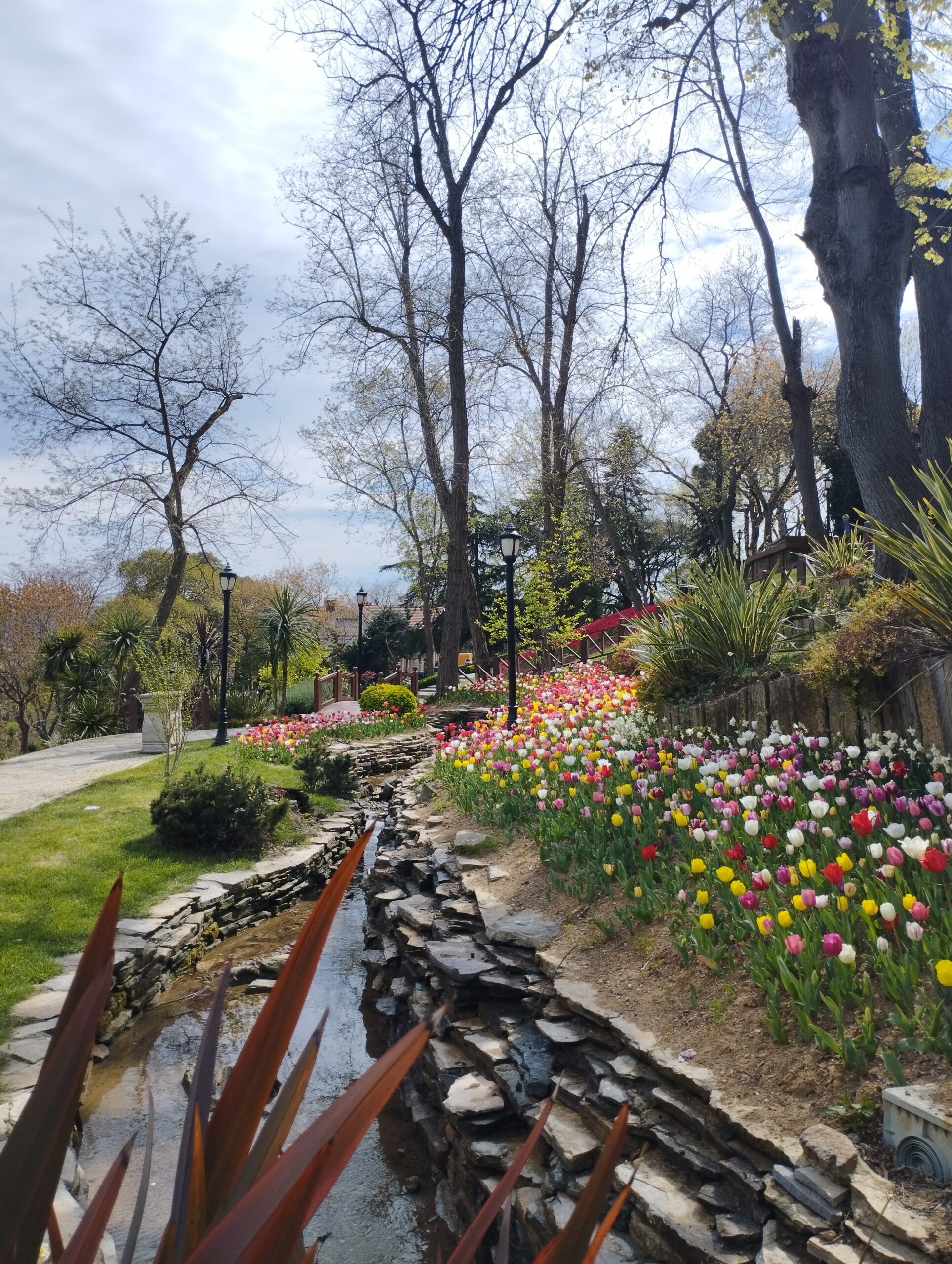 이스탄불 에미르간 공원의 튤립 정원