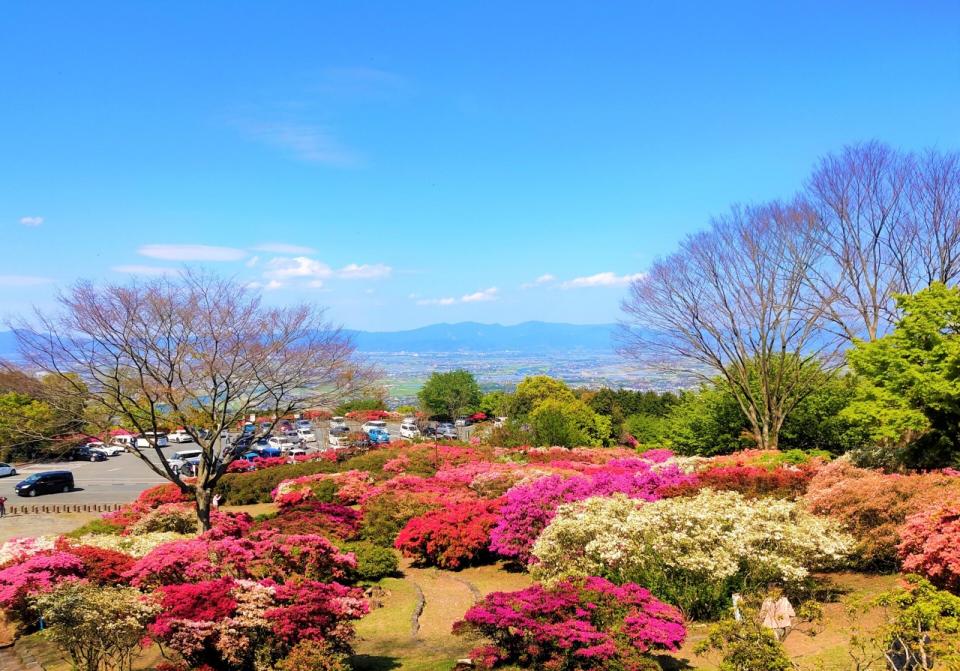 후쿠오카현 구루메 삼림 철쭉공원 언덕 위 철쭉 군락과 치쿠고 평야 전망