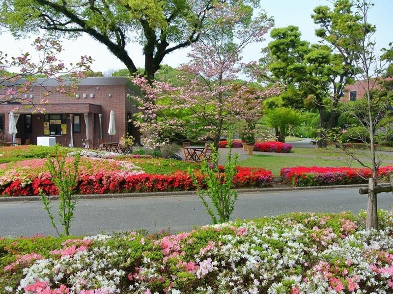 후쿠오카현 구루메 이시바시 문화센터 정원의 철쭉 화단과 산책길
