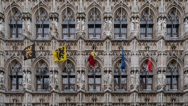 벨기에 루벤 흐로터 마르크트의 고딕 시청사 파사드 디테일