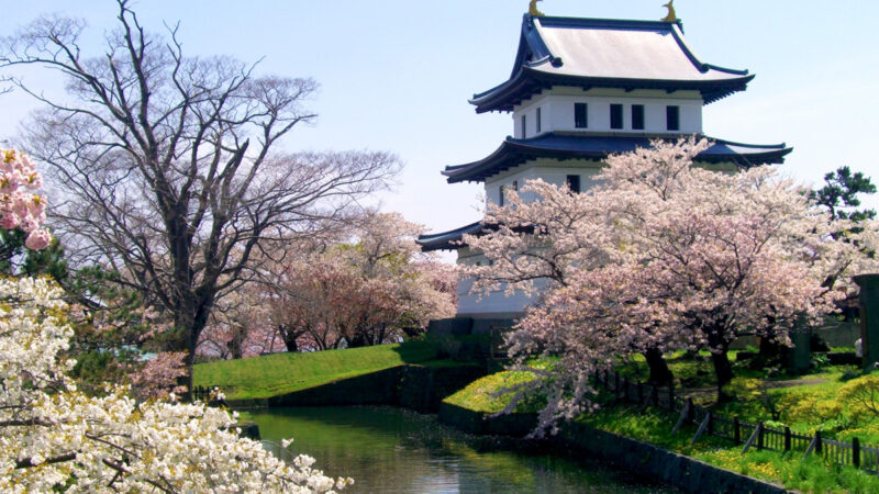 일본 홋카이도 마쓰마에공원 해자와 벚꽃 너머로 보이는 마쓰마에성