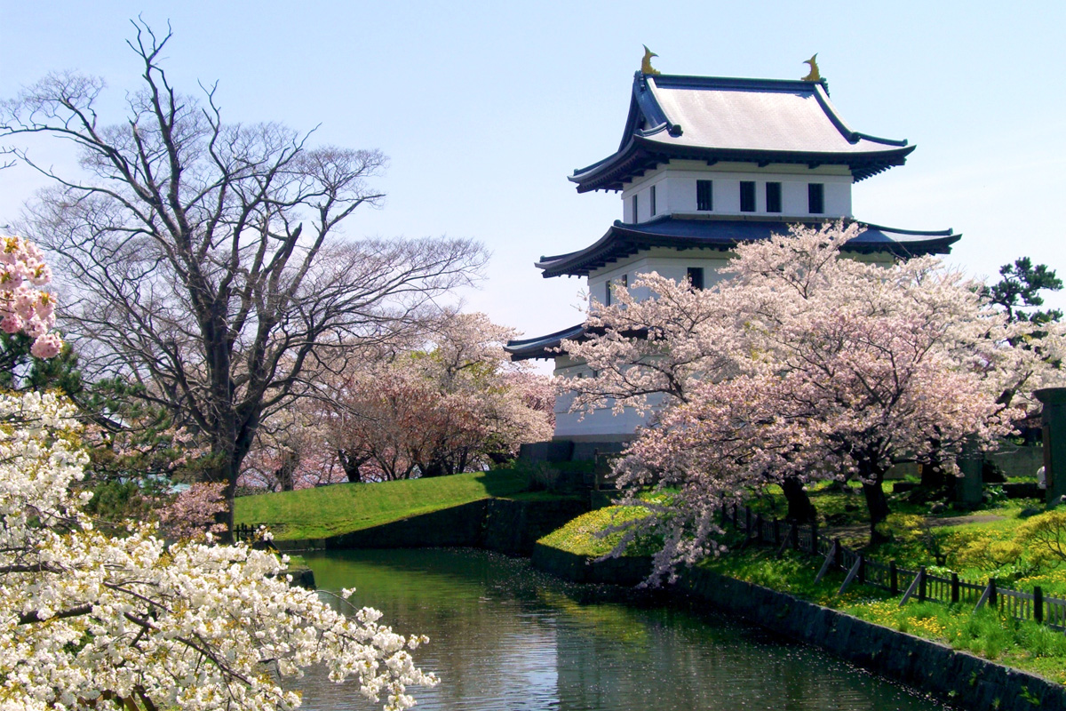일본 홋카이도 마쓰마에공원 해자와 벚꽃 너머로 보이는 마쓰마에성