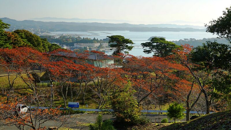 미야기현 마쓰시마 사이교모도시노마쓰 공원에서 내려다본 마쓰시마만 풍경