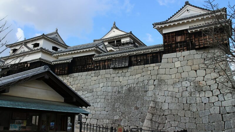 일본 에히메 마쓰야마성 천수 전경
