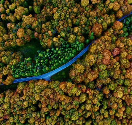 트빌리시 여행 대표 장면 이미지 3