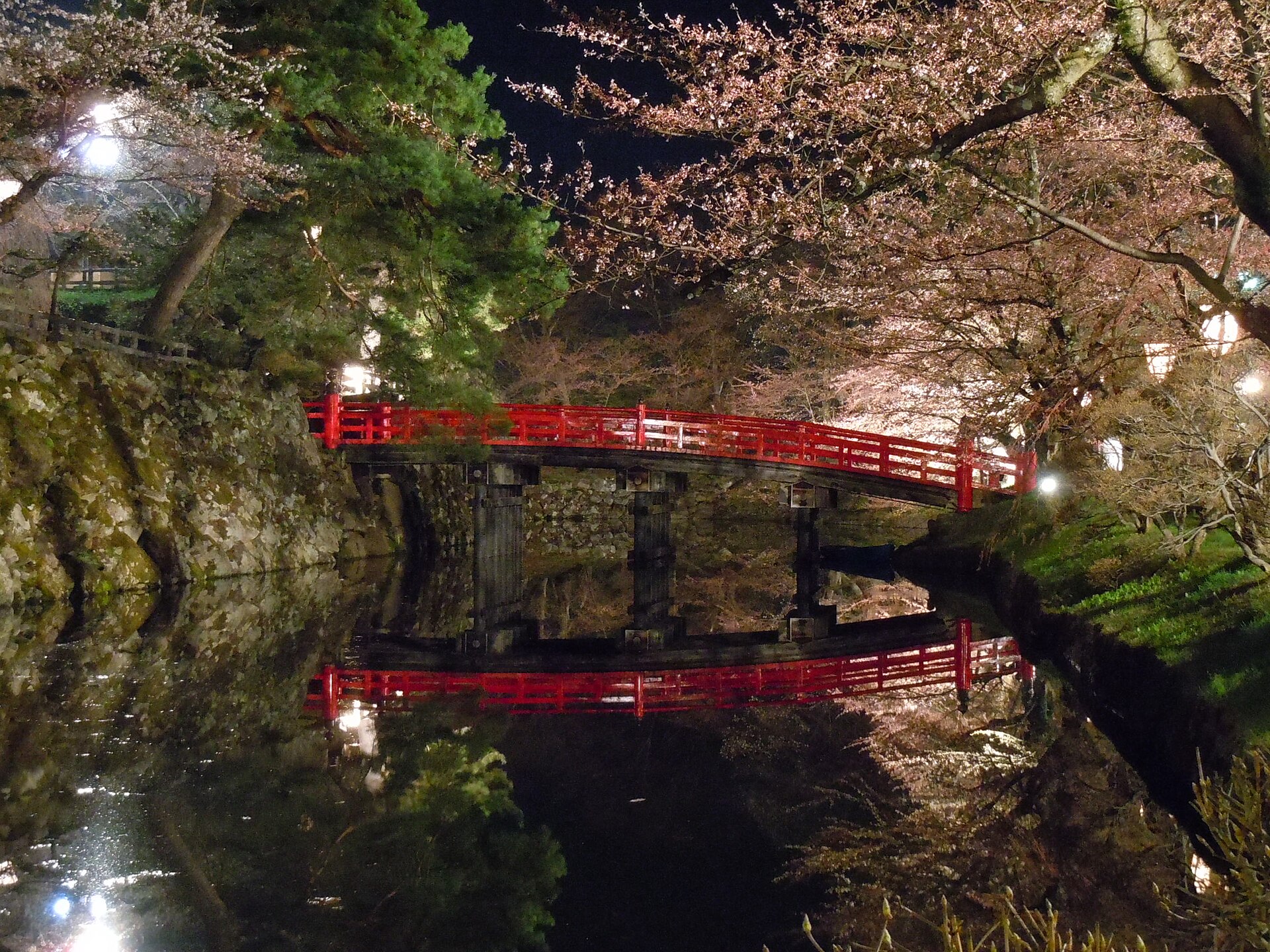 히로사키 공원 벚꽃 조명과 붉은 다리 풍경