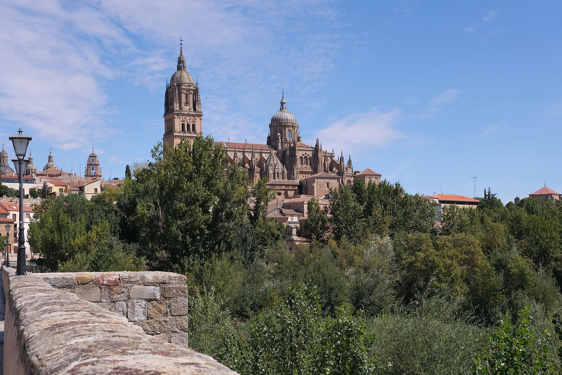 스페인 살라망카 로마 다리 쪽에서 바라본 대성당 스카이라인