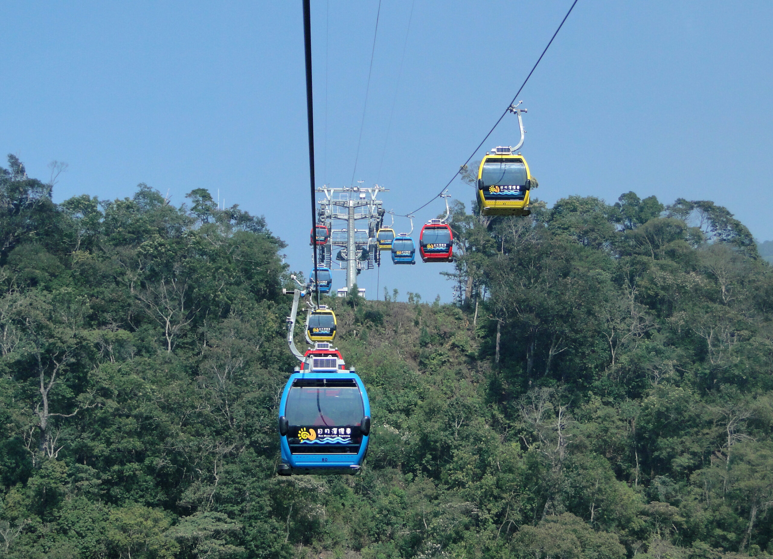 난터우 일월담 케이블카가 숲 위를 지나는 풍경