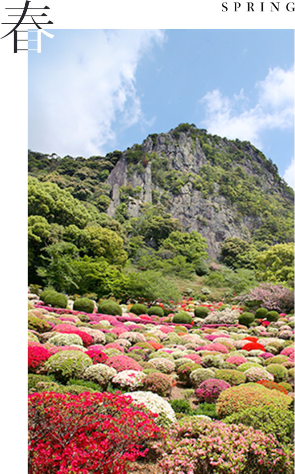 사가현 다케오 미후네야마 라쿠엔의 철쭉 언덕과 바위산 풍경