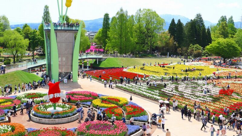 일본 도야마현 도나미 튤립공원의 도나미 튤립페어 메인 화단과 튤립타워