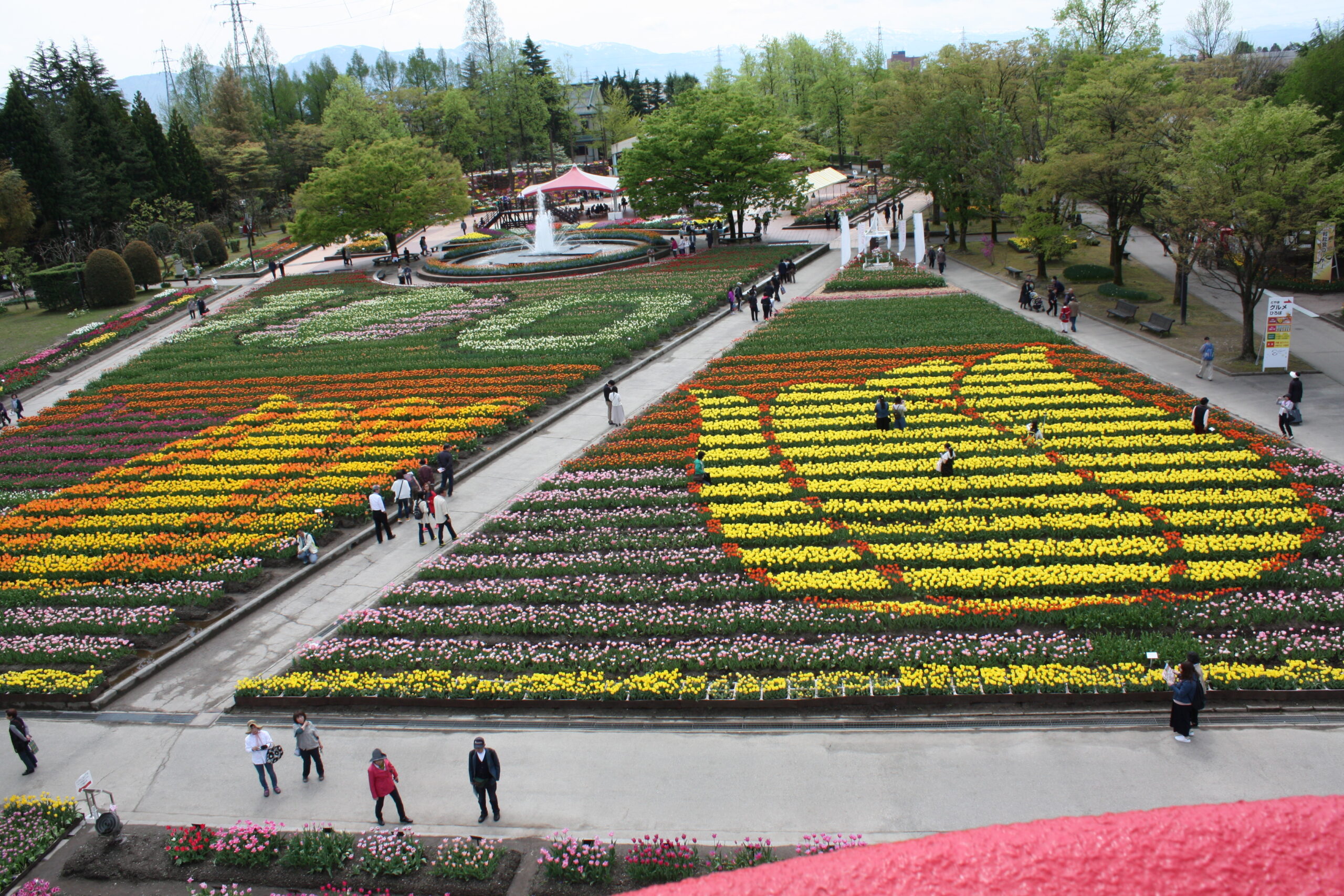 일본 도야마현 도나미 튤립공원 도나미 튤립페어의 대화단과 분수