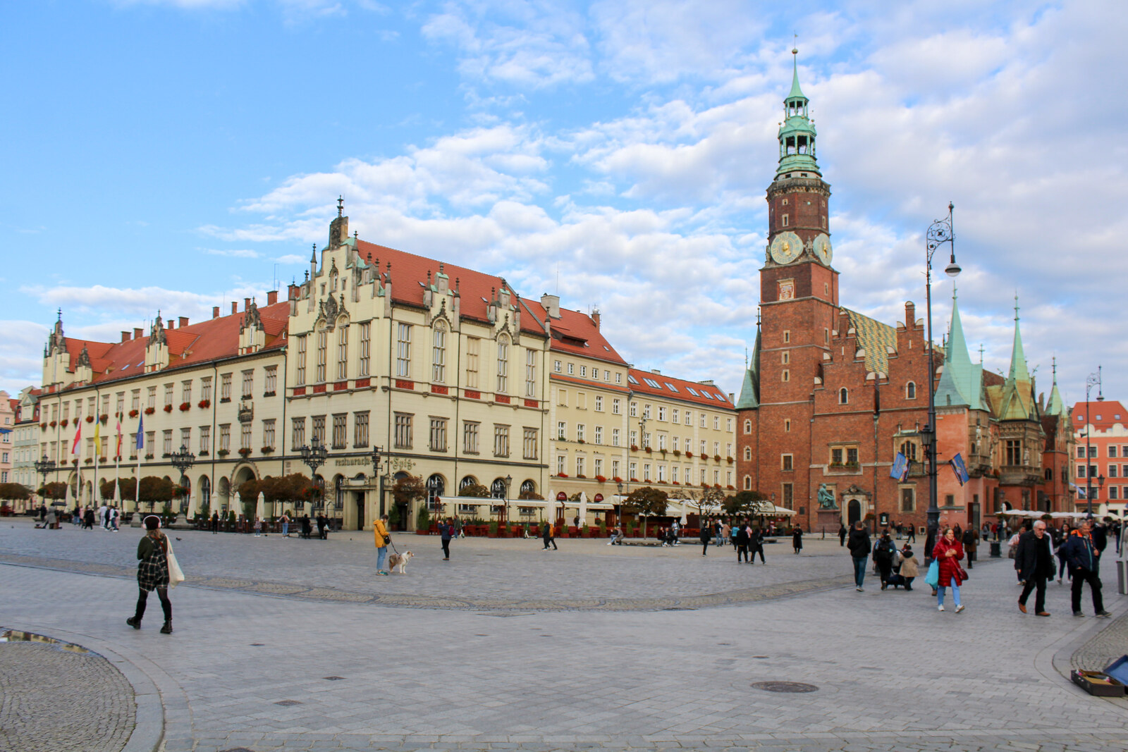 브로츠와프 리네크 광장에서 구 시청사 타워와 광장 건물이 함께 보이는 풍경