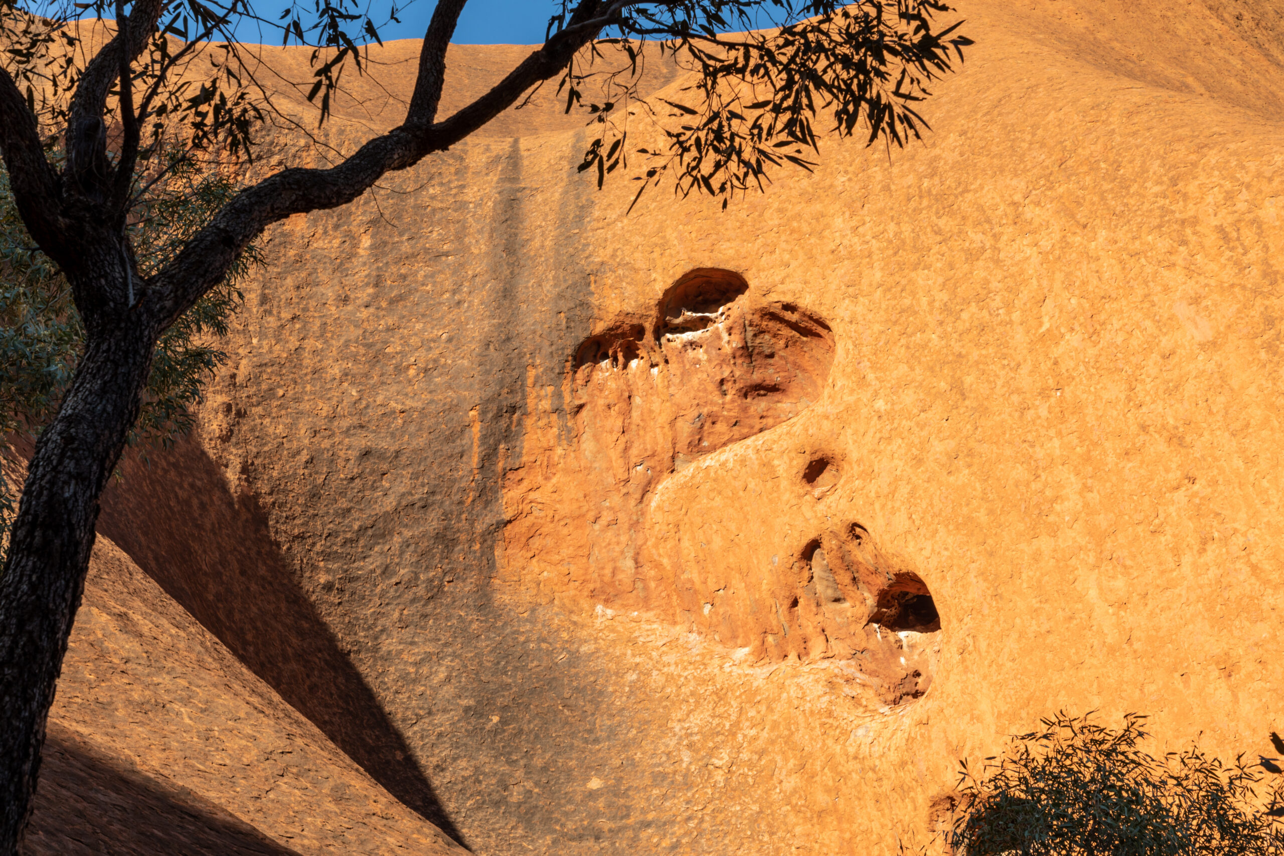 앨리스스프링스와 레드 센터 대표 풍경 이미지 3