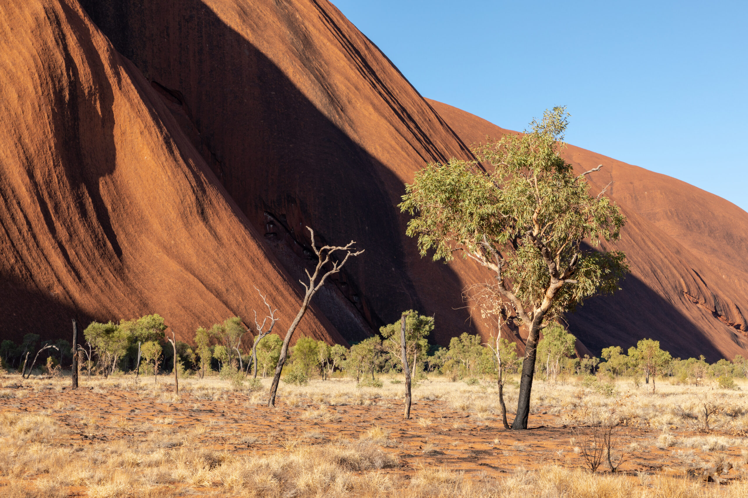 앨리스스프링스와 레드 센터 대표 풍경 이미지 4