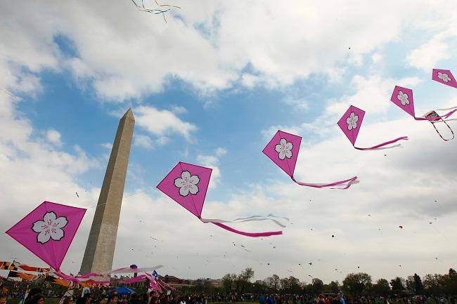 워싱턴DC 여행 대표 장면 이미지 5