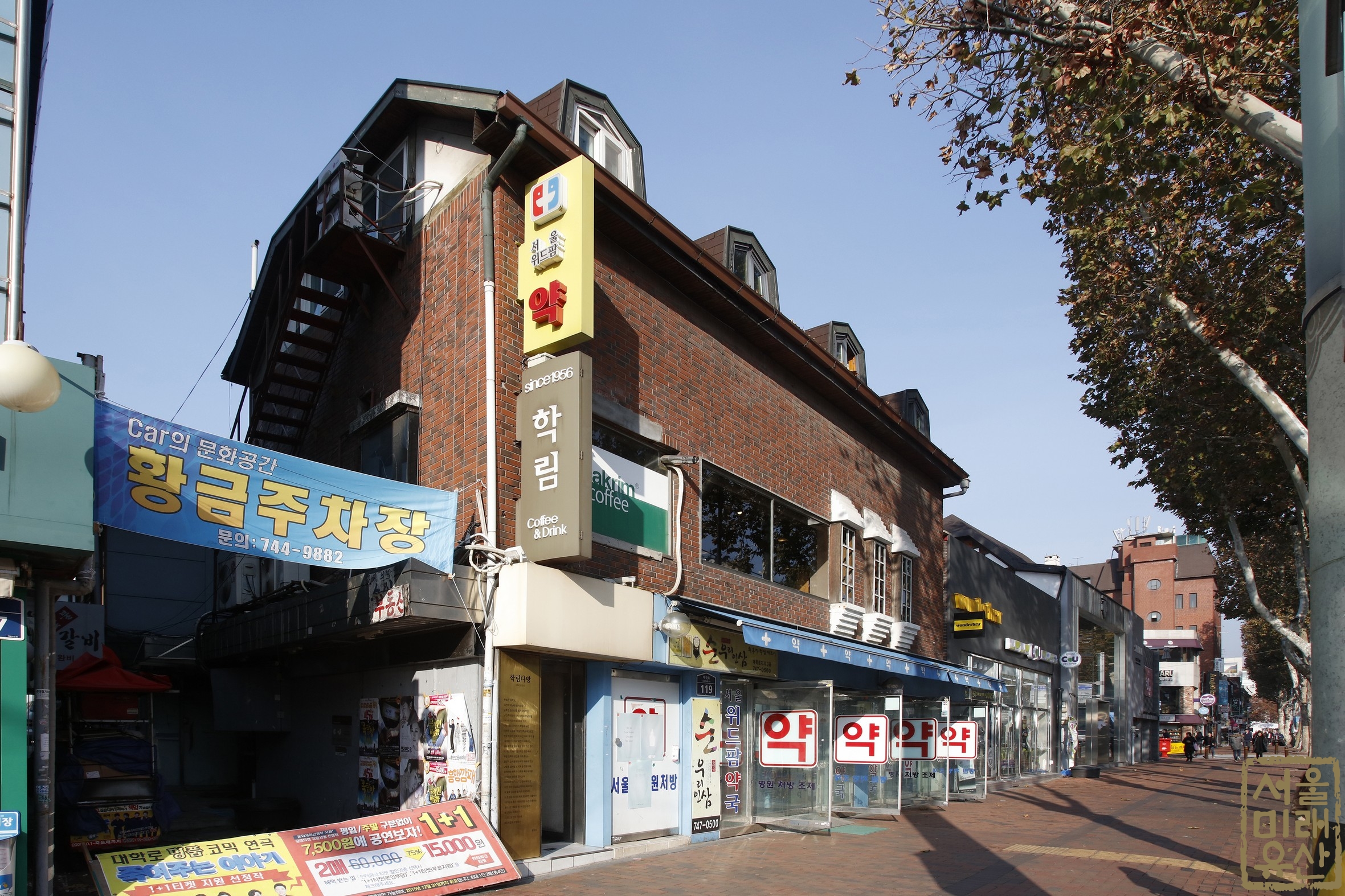 대학로 거리에서 올려다본 학림다방 건물 외관과 세로 간판